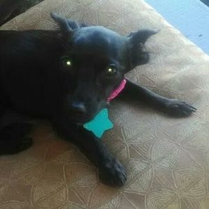 Meet your Posher, Edward